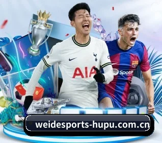伟德体育 APP - WEIDE SPORTS